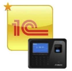 InTime 1С Модуль интеграции систем учета рабочего времени и 1C.