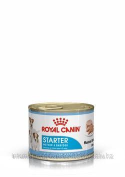 Royal Canin Starter Mousse влажный корм (мусс) для щенков от рождения до 2-х месяцев
