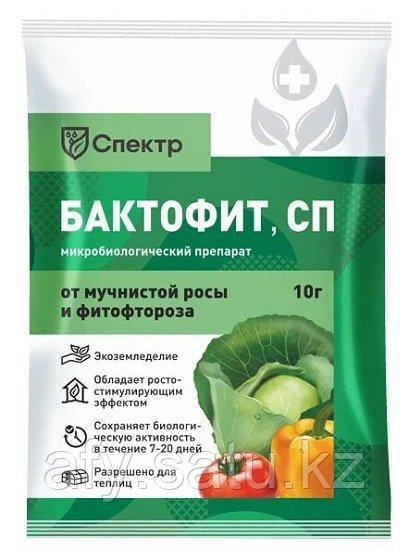 Бактофит 20 гр