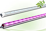 Линейная фитолампа полного спектра 120 см для подоконников на присоске, фото 2
