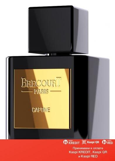 Brecourt Captive парфюмированная вода объем 5 мл (ОРИГИНАЛ)