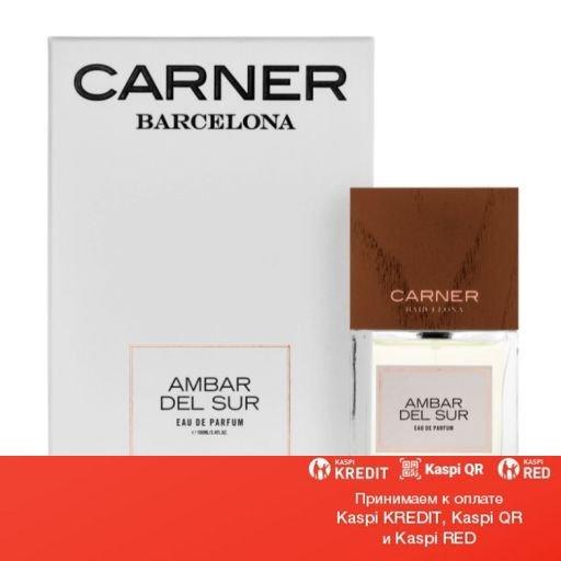 Carner Barcelona Ambar del Sur парфюмированная вода объем 50 мл тестер