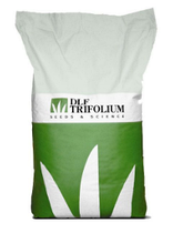 Семена газонной травы DLF Playground 20 кг