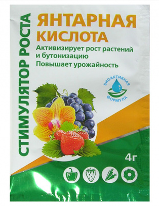 Янтарная кислота, 4 г, фото 1