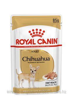 Royal Canin Chihuahua Adult влажный корм для собак породы чихуахуа (паштет)