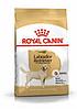 Royal Canin Labrador Adult сухой корм  для собак породы лабрадор - ретривер