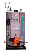 Парогенератор SEK 300