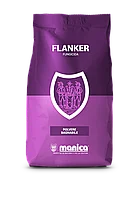 Фланкер IT (диметоморф 50%) производитель Manica для BASF, 1 кг