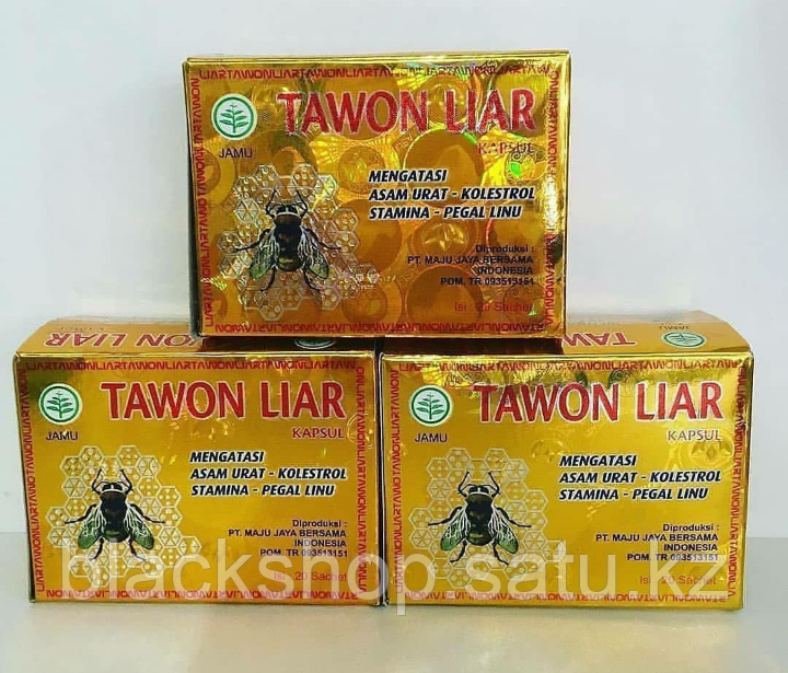 Tawon Liar ( Пчелка ) от боли в мышцах и суставах - фото 3 - id-p87078400