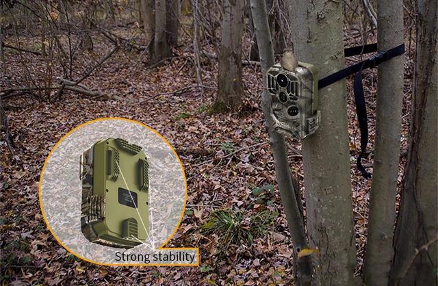 Особенности фотоловушки для охоты и охраны с записью по движению Филин HC-1600A-WiFi