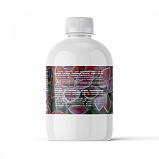 Пуршат- К концентрат плодовых и декоративных 0,5л, фото 2