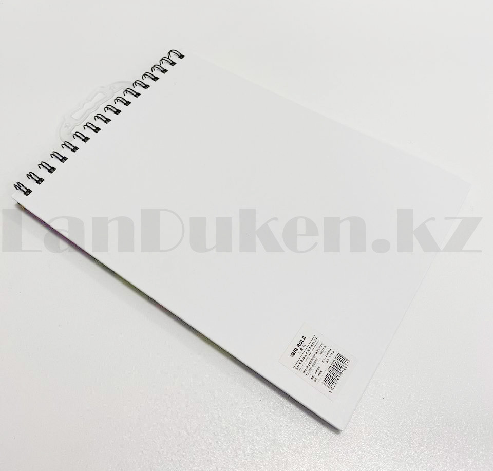 Скетчбук для зарисовок классический с белой бумагой на спирале Sketch Book Big Role 04 210х290 мм 40 листов А4 - фото 5 - id-p87169976