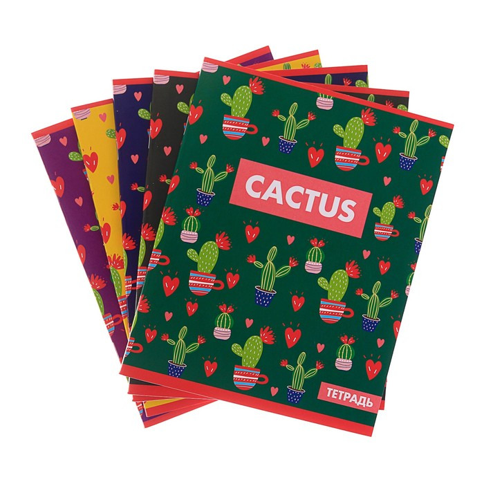 ученическая тетрадь. канцтовары тетради. тетрадь 12 листов в клетку erich krause зеленая. школьная тетрадь. общая тетрадь.