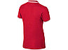 Рубашка поло Erie мужская, красный, фото 2