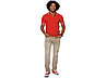 Рубашка поло Erie мужская, красный, фото 3
