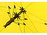 Зонт-трость Color полуавтомат, желтый, фото 4