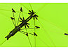 Зонт-трость Color полуавтомат, зеленое яблоко, фото 4