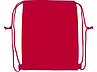 Рюкзак-холодильник Фрио, красный, фото 3