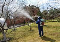 Обработка деревьев от вредителей