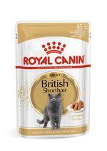Royal Canin British Shorthair Adult в соусе, влажный корм для кошек породы британская короткошерстная