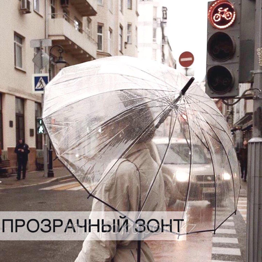 Зонтик-трость «Прозрачный купол» №2, Алматы