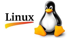 Авторское обучение Linux Perfomance Tuning
