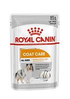 Royal Canin Coat Care влажный корм для собак в возрасте от 10 месяцев и старше с тусклой и сухой шерстью