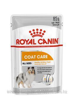Royal Canin Coat Care влажный корм для собак в возрасте от 10 месяцев и старше с тусклой и сухой шерстью