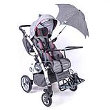 Коляска для детей Модель "Grizzly", фото 2