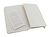 Записная книжка Moleskine Classic (в линейку) в твердой обложке, Large (13х21см), фисташковый, фото 4