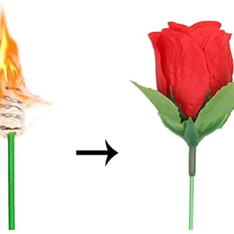 Torch to rose/Факел в розу - фото 4 - id-p87308520