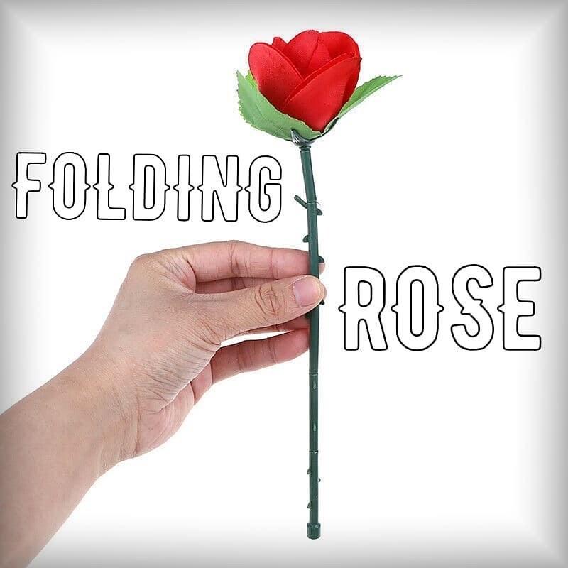 Folding Rose/появление розы!