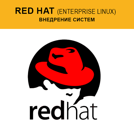 Внедрение систем Red Hat Enterprise Linux, фото 2