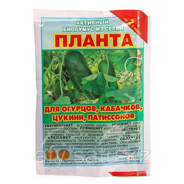 Планта огурец