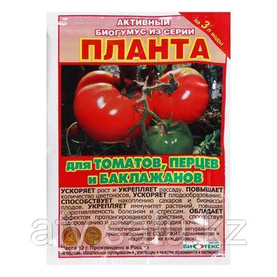 Планта томат