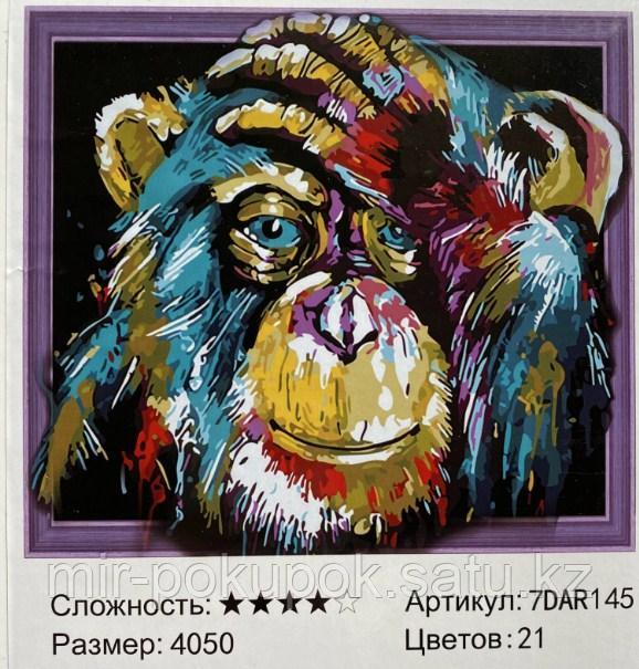 Алмазная картина "'Обезьяна " 7Д 40*50 см
