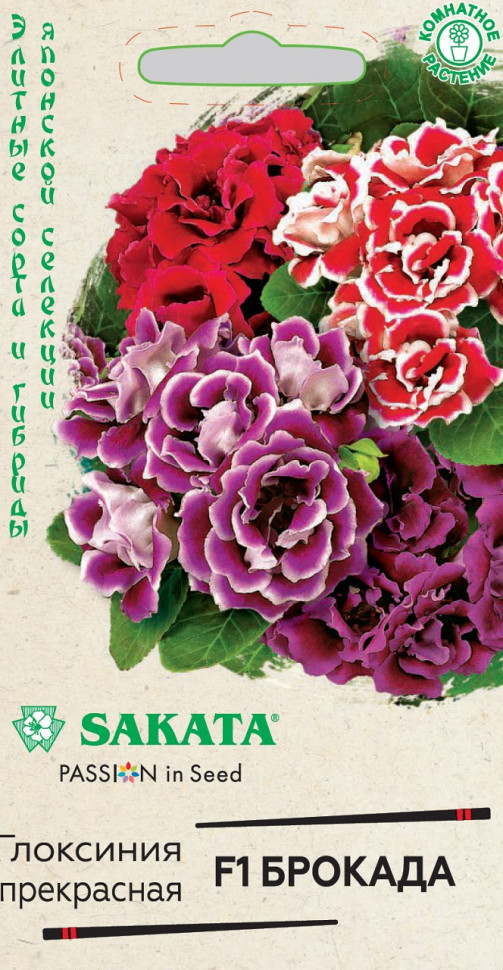 Семена глоксинии прекрасной Sakata "Брокада" F1. - фото 1 - id-p87430582