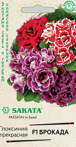 Семена глоксинии прекрасной Sakata "Брокада" F1., фото 2