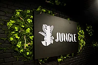 Вертикальное озеленение, фитодизайн