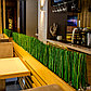 Озеленение кафе, баров, ресторанов искусственными растениями, фото 2