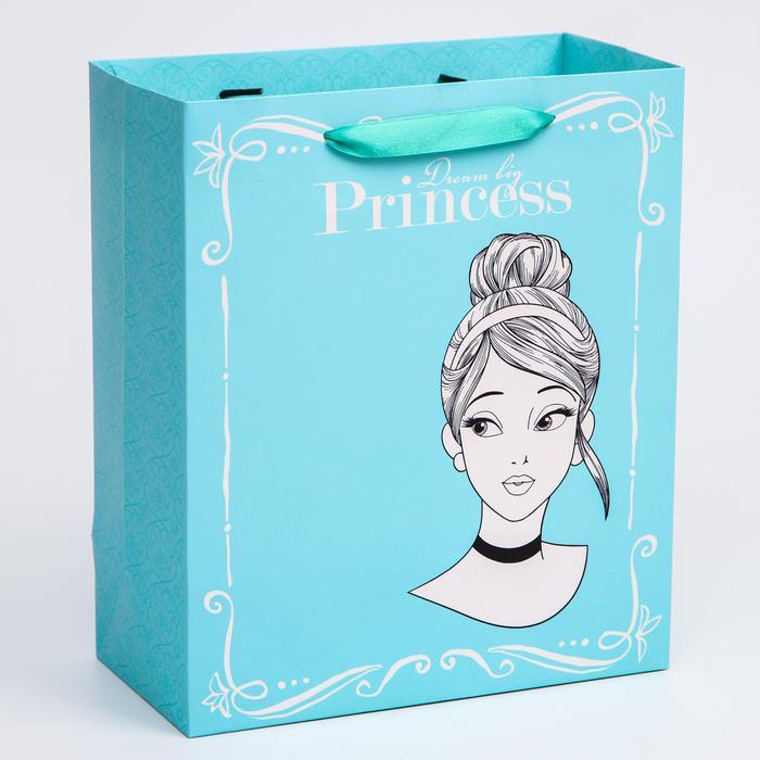Пакет ламинат вертикальный "Princess", Принцессы, 23х27х11,5 см 4628777