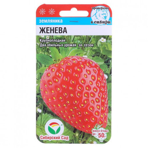 Семена Земляники "Женева" Сибирский Сад, фото 1
