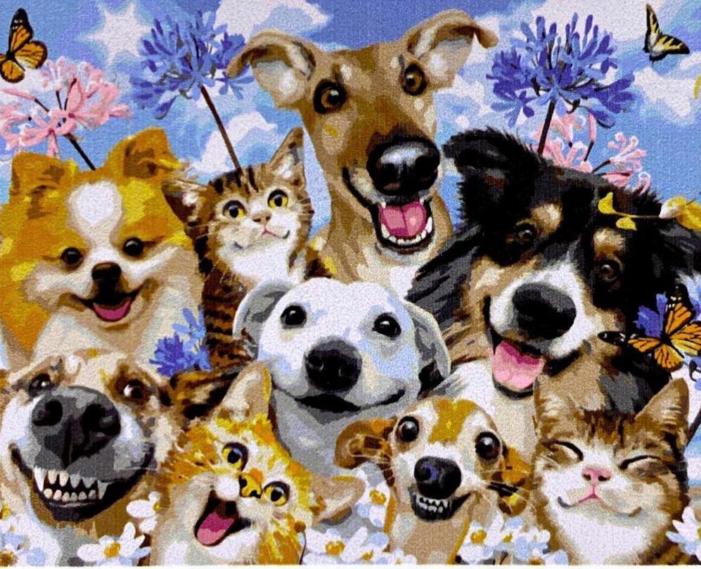 Картина по номерам "Собачки" 50*40