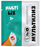 МультиЛиз, Арт Лайф, 14 саше, фото 2