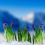 Праздничные дни в Марте 2021 года.