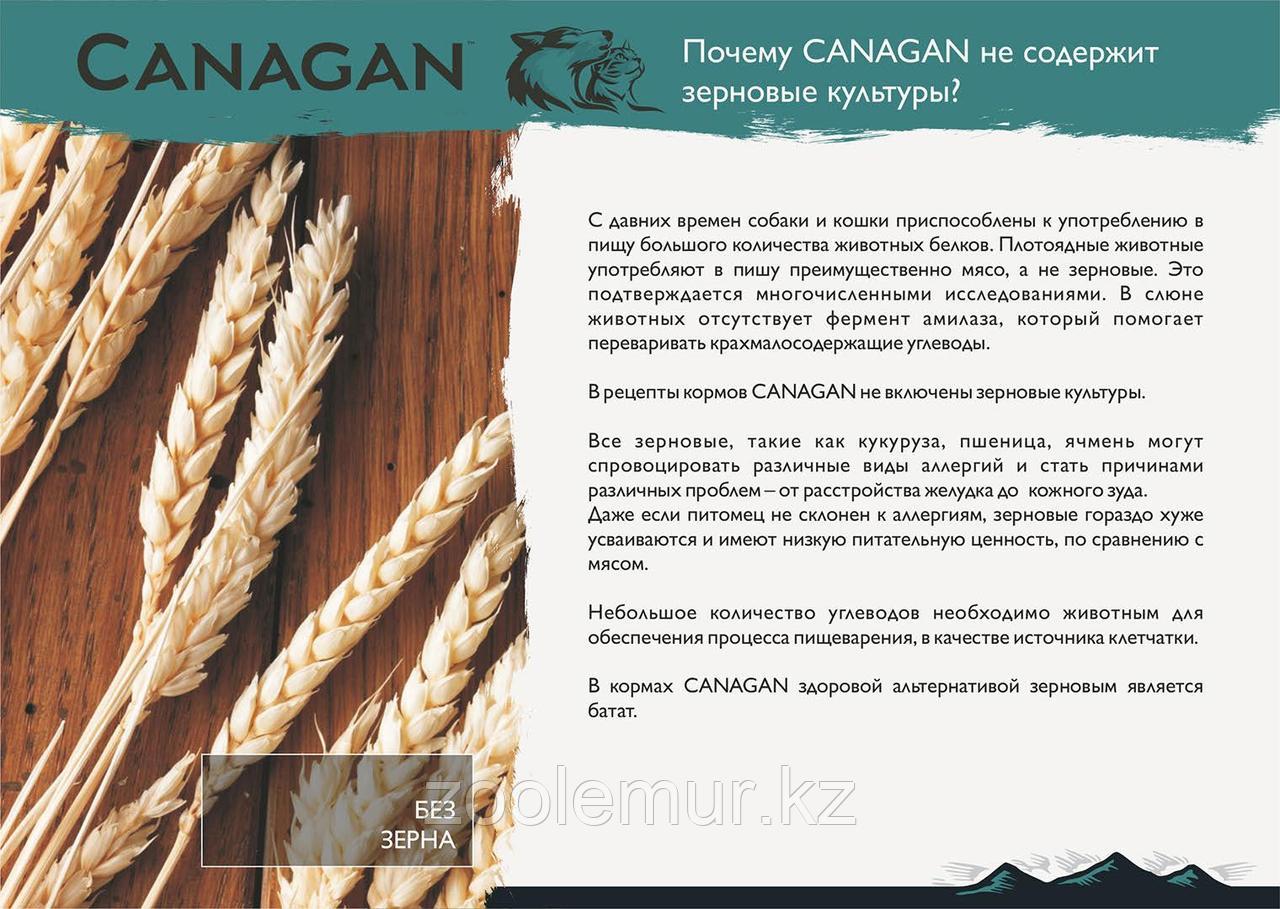 CANAGAN Полнорационный консервированный корм для кошек ТУНЕЦ с КРЕВЕТКАМИ 75г - фото 4 - id-p87468791