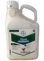 Луна транквилити (флуопирам 125 г/л и пириметанил 375 г/л),  BAYER, 5 л