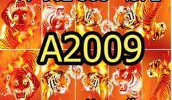 A2009 Фотодизайн -Огненный Тигр