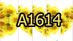 A1614 Фотодизайн - Желтые ромашки. Френч.