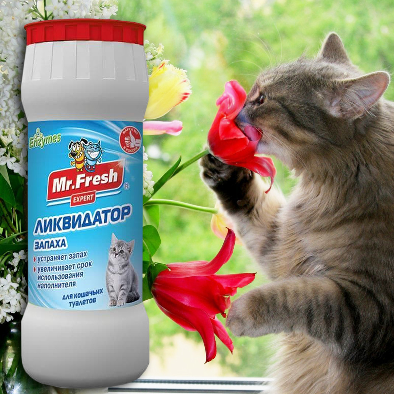 Порошок Ликвидатор запаха для кошачьих туалетов Mr.Fresh Expert